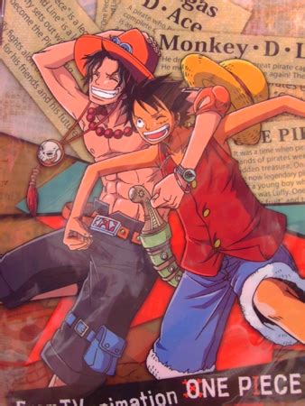 ace luffy  piece photo  fanpop