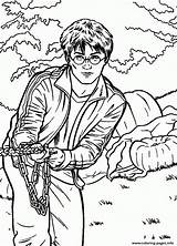 Coloring Harry Potter Pages Frees Print sketch template