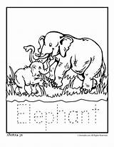 Zoo Coloring Animals Pages Animal Elephant Babies Writing Color Baby Templates Elephants Printable Kids Tracing Colour Worksheets Activities Library Clipart sketch template