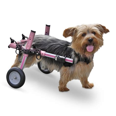 walkin wheels dog wheelchair  small dogs   pounds