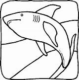 Kleurplaat Haai Zeedieren Kleurplaten sketch template