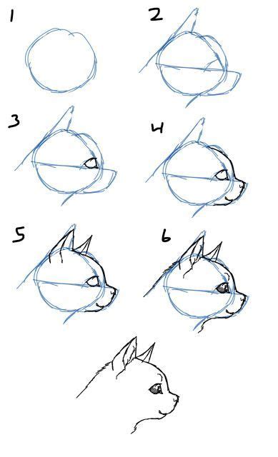 How To Draw Cat Faces Heads Side View Cat Face Drawing