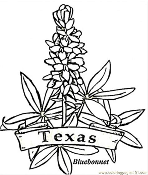 pin   bs  mm  state flowers flag coloring pages flower