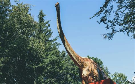 kostenloses foto zum thema dinosaurier