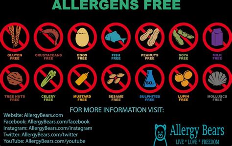 top  allergy types infographic allergy types allergies infographic
