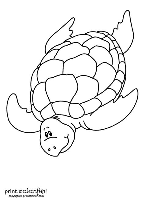 swimming turtle coloring page print color fun