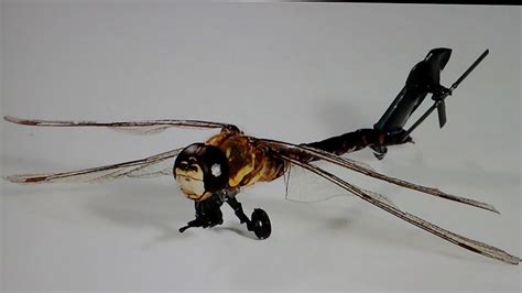 insect spy drones  youtube