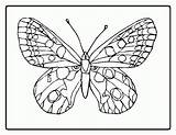 Coloring Pages Printable Flower Butterfly Butterflies Color Easter Sheets Simple Garden Sylvanian Animal Families Girls Sheet Adults Print Library Clipart sketch template