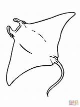 Manta Coloring Stingray Ray Pages Drawing Printable Para Colorear Corvette Supercoloring Google Print Imagen Color Pez Colouring Rays Getcolorings Fish sketch template