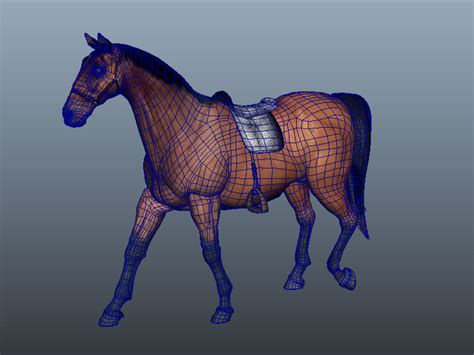 arabian horse  model maya files   modeling   cadnav