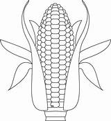 Corn Coloring Indian Stalk Pages Template Growing Printable Activity Kids Color Sheet Getcolorings Clipart Vegetables 81kb 1024px Library Getdrawings Comments sketch template