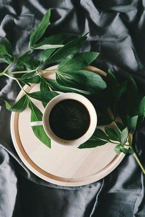 good morning kaffeeliebe greens in 2019 coffee tasting coffee drinks black coffee