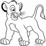 Lion Cubs Simba sketch template