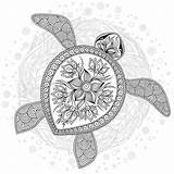 Turtle Coloring Illustration Vector Sea Book Stock Pages Adults Zentangle Preview sketch template