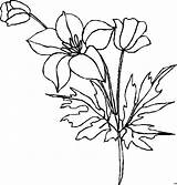 Blueten Schoene Blumen sketch template