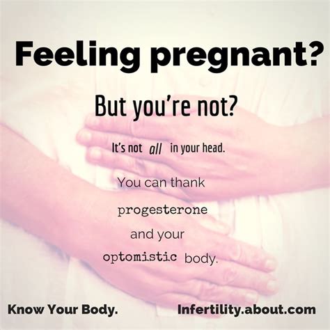 when do you know you re pregnant xxxpornbase
