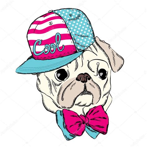 dog vector hipster pug wearing  cap   tie vector illustration  greeting card poster