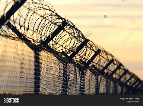 barbed wire steel wall image photo  trial bigstock