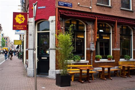 coffee shop cafe difference amsterdam coffee confusion coffee cafes  coffeeshops eurocheapo