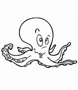 Octopus Oktopus Tintenfisch Ausmalbilder Ausmalbild Coloringhome sketch template