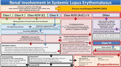 renal involvement  systemic lupus erythematosus sle dr grepmed