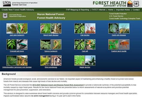 usda forest service atforestservice twitter