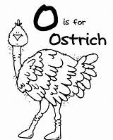 Ostrich Coloring Ox Musk Color Print Pages Getcolorings Size Getdrawings sketch template