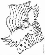 Coloring Eagle Flag Pages American Patriotic Printable July 4th Usa Bald Drawing Kids Drawings America Print Raisingourkids Color Pencil Coloringpages sketch template