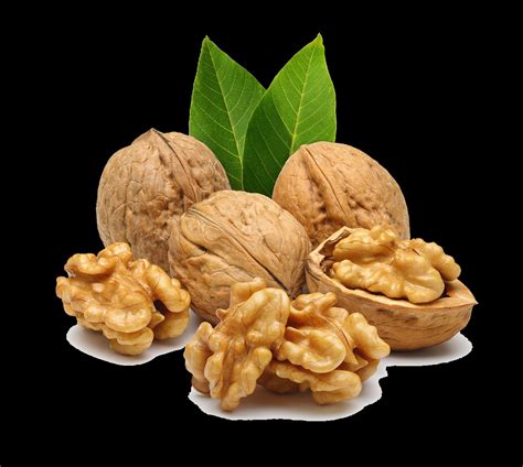 meaning  symbolism   word walnut