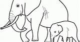 Filhote Elefante Gajah Mewarnai Elefantes sketch template