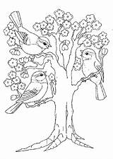 Arbre Printemps Hugolescargot Oiseaux sketch template