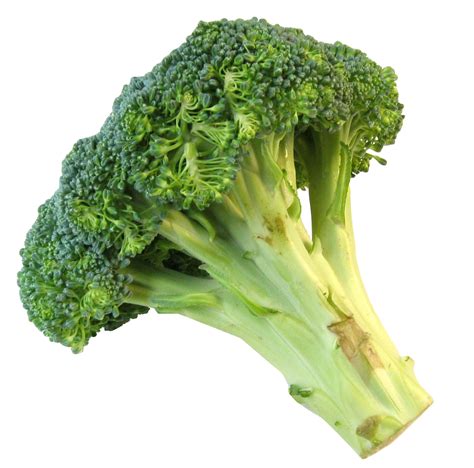 fresh broccoli png image purepng  transparent cc png image library