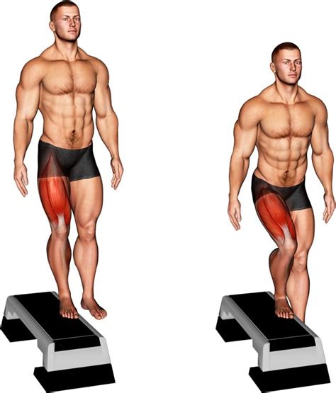 lateral step  guide   benefits muscles worked variations