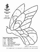 Stained Glass Butterfly Pattern Patterns Spectrum Woodworking Intarsia Printable Wood Plans Projects Inlay Mosaic Vitrail 2021 Vidrio Pages Diseños Para sketch template