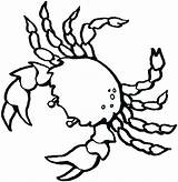 Sea Coloring Pages Creatures Getcolorings Creature sketch template