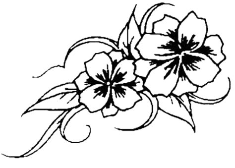 flower stencil outline   flower stencil outline png