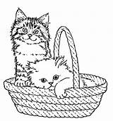 Basket Coloring Kittens Belle Colouring Baskets sketch template