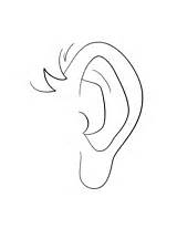 Ear Coloring Human Pages Supercoloring Printable sketch template