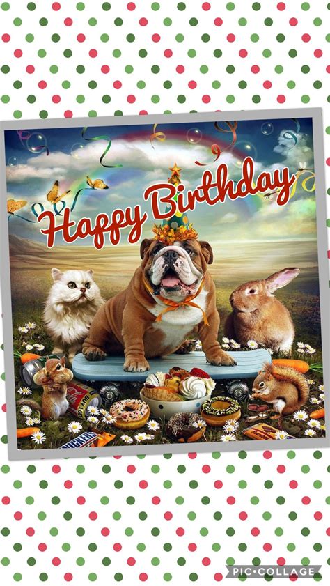 pin  janelle swanson  happy birthday happy birthday dog happy