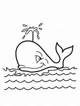 Whale Humpback Coloring Pages Getdrawings sketch template