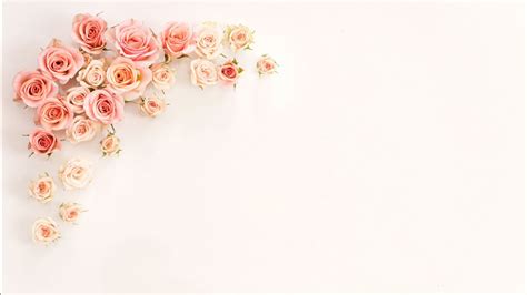 bunch  rose gold flowers  white background hd rose gold wallpapers hd wallpapers id