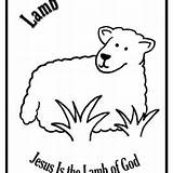 Lamb Coloring God Jesus Getcolorings Pages Getdrawings sketch template