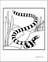 Snake Sea Coloring Pages Viper Getcolorings Printable Color Clip sketch template