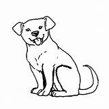 Coloriage Labrador Chiot Animaux Imprimer Welpe Jack Hund Cucciolo Cachorro Welpen Russel Chiens Dessins Coloriages Cane Ausmalbild Imprimé Fois sketch template