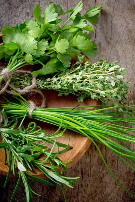guide  fresh herbs mygourmetconnection