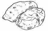 Potato Yam Sweet Drawing Coloring Sketch Baked Thanksgiving Savoy Sarah Gift Clipart Potatoes Pages Cheesecake Kids Getdrawings Sour Salty Drawings sketch template