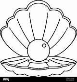 Shell Pearl Outline Sea Vector Icon Illustration Style Alamy sketch template