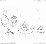 Hen Rooster Chick Outline Clipart Coloring Yayayoyo Royalty Illustration Chicken Rf Drawing Getdrawings 2021 sketch template