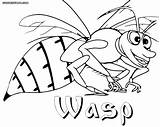 Coloring Wasp 800px 84kb 1000 sketch template