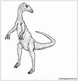 Coelophysis Dinosaur Pages Coloring Color sketch template